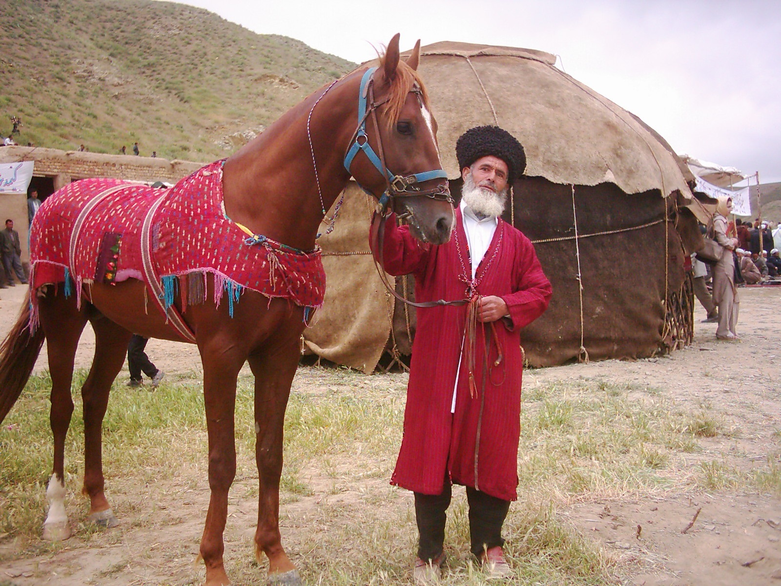 شانزدهمین جشنواره ملی زیبایی اسب اصیل ترکمن در خراسان شمالی برگزار می‌شود